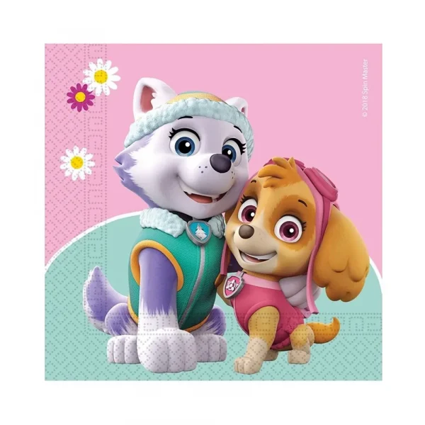 Detské obrúsky Paw Patrol/20